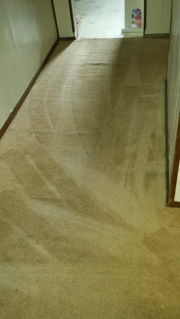 newly cleaned carpets in Pittsburgh